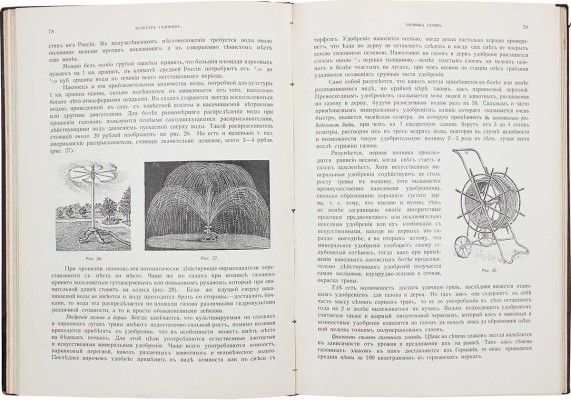 Кичунов Н.И. Цветники и партеры. Устройство ковровых клумб, рабаток, арабесок, цветочных и лиственных групп. СПб.: Изд. А.Ф. Девриена, 1904.